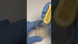 Lemon vs Bacteria health microscope interesting [upl. by Nylesoj975]