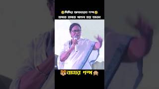 Mamata Banerjee Funny Speech shorts shortsfeed trendingshorts [upl. by Asserak]