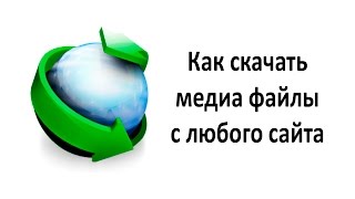 Как скачать видео или аудио с любого сайта [upl. by Lindblad352]