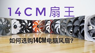 The Best 140mm Fans Roundup  谁才是14厘米风扇之王？ 顶级14CM电脑风扇散热效能噪音对比横测 [upl. by Vania236]