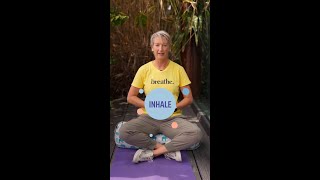 Breathwork with Layne  Distracted to Focused [upl. by O'Toole]