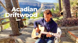 Acadian Driftwood  The Band Cover [upl. by Ag]