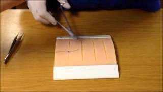 Basic Suturing Techniques [upl. by Nalo]