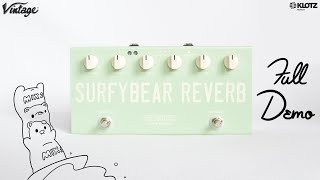 Surfy Industries SurfyBear Compact Reverb DEMO  All Analog Spring Tank 2 Channels  Guitar amp Bass [upl. by Queston]