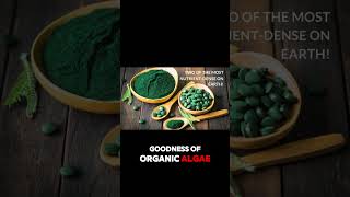 Sunlit Best Organic Chlorella Spirulina Tablets Review – Best Vegan Superfood Supplement 2024 [upl. by Noseimaj]