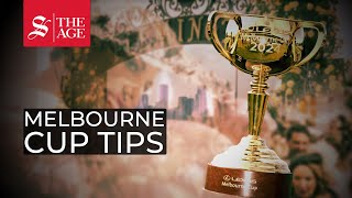 Who will win the 2024 Melbourne Cup [upl. by Isoj]