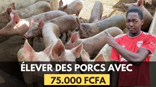 Comment DÉBUTER votre projet DÉLEVAGE de PORC avec 75000 FCFA en AFRIQUE  Je vous dis tout [upl. by Taimi]