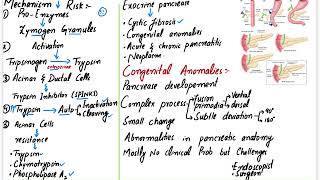 Pancreas  Robbins PathologyChapter 17AgenesisPancreas DivisumAnnular PancreasEctopic Pancre [upl. by Sicard611]