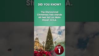 Disneyland Holiday Facts  Christmas Tree [upl. by Adas]