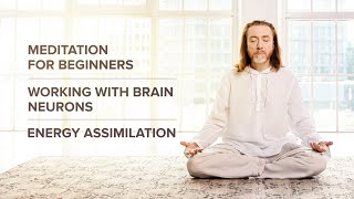 Lesson 2 Meditation for beginners Working with brain neurons Energy assimilation [upl. by Nalak]