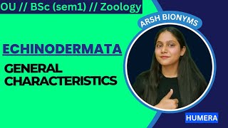 ECHINODERMATA  GENERAL CHARACTERISTICS  BSc ZOOLOGY  Osmania University  humera [upl. by Airec]