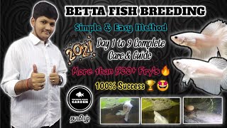 Betta Fish Breeding in Tamil HD  2021 First Video😊  Must Watch 🤩  தமிழ்  Wonder Aqua Garden [upl. by Templia]