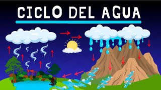 El🌧️ CICLO del AGUA 🌊 evaporación condensación precipitación recolección escorrentía Biología [upl. by Loring]