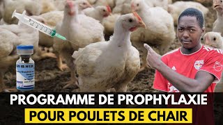 VOICI LE NOUVEAU PROGRAMME DE PROPHYLAXIE POUR POULETS DE CHAIR DU 1er AU 42ème JOUR [upl. by Dario]