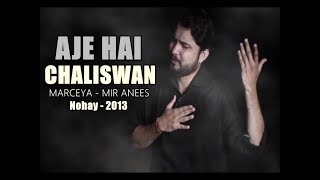 Aaj Hai Chaliswan  Nohay 2013  Syed Raza Abbas Zaidi [upl. by Anoy]