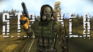 Turning Fallout New Vegas Into STALKER With Mods [upl. by Pia857]