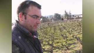 La vigne  de la taille aux vendanges [upl. by Marguerie]