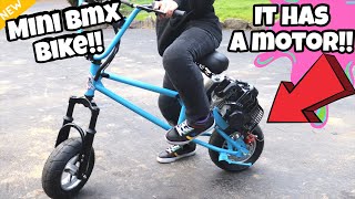 I Got A Gas Mini BMX Bike Can I Trick it at the skatepark [upl. by Nuawd82]