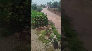 Carretera de Benicarló a Càlig Pas per baix de la via del tren vídeo cedit 131124 [upl. by Mohun]