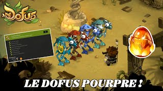 LOBTENTION DU DOFUS POURPRE  DOFUS [upl. by Oivaf]