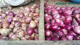 পেঁয়াজের দামে তীব্র ঝাঁজ  NEWS  Onion  Ajker Patrika [upl. by Lathe]