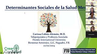 Sesión 05  Determinantes Sociales de la Salud Mental [upl. by Danais]