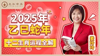 麦玲玲师傅详解2025蛇年运程：十二生肖完整版！事业运、财运、人际关系、爱情、婚姻、健康全解析！ [upl. by Anyt]