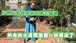 我的好朋友幫我重新用磚去鋪過 所有的水浸問題都一併解決了 [upl. by Mehitable]