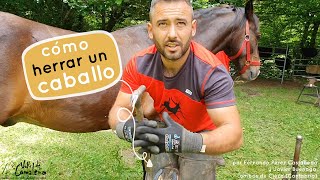 ► Como herrar un caballo 🐴 por los herradores Fernando Pérez Castañeda y Javier Buenaga [upl. by Lolanthe]