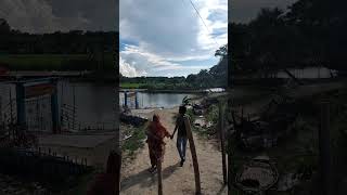 Jhao gram  Rajbari adiyti travel banglasong naturalbeauty nature [upl. by Nemlaz]