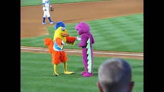 Famous Chicken battles Barney in a danceoff [upl. by Ennaoj]