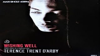 lyrics  Terence Trent DArby  Wishing Well  June 1987 [upl. by Liag288]