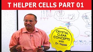 T Helper Cells  Immunology  Part 110 [upl. by Merril110]