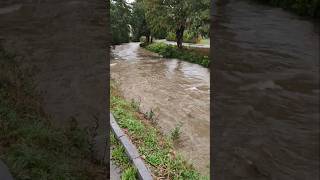 Hochwasser Lage aktuell angespannt Dauerregen Regen Starkregen Unwetter Überschwemmung jetzt Wien NÖ [upl. by Wojcik]