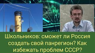 Школьников сможет ли Россия сформировать свой панрегион Как в этом случае избежать проблем СССР [upl. by Nnylyam80]