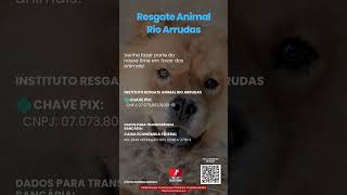 quotResgate animal rio arrudas quot [upl. by Ahsiekit]