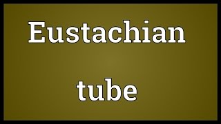 Eustachian tube Meaning [upl. by Sorgalim37]