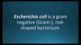 How to pronounce Escherichia coli E coli Pharmcabulary for Memorizing Pharmacology Flashcard [upl. by Juetta]