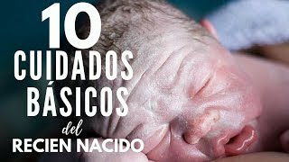 🏡👶🏼10 CUIDADOS BÁSICOS del RECIÉN NACIDO  Baby Suite by Pau [upl. by Moule]