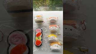 Wow Demure sushi puppy taba squishy 🍣🫣squishys diycrafts kawaiihaul cutecore cute slime [upl. by Mcleod]