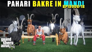 PAHARI BAKRE 🐐 BHI AGAYE  MANDI SERIES  GTA 5 GAMEPLAY [upl. by Port]