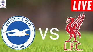 Brighton vs Liverpool Live Score l EFL Cup 2024 l Full Match Streaming [upl. by Renrag]