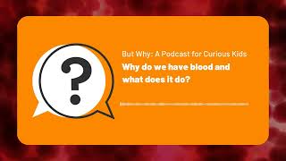 But Why Kids  Why do we have blood and what does it do  Full Podcast Episode [upl. by Ivetts]