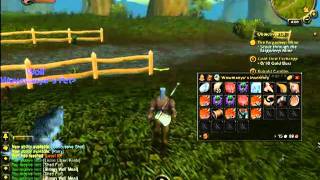 Leveling Bot WoW Cataclysm [upl. by Mignonne454]