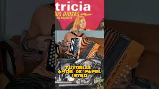 tutorial amor de papel intro  Patricia teheran vallenato acordeon tutorial [upl. by Nawor]