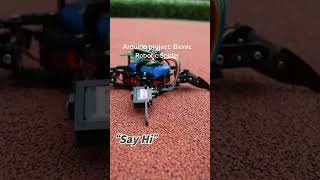 Spider Robot BionicRobotics spaider iot bionic OpenSource esp8266 esp8266project electronic [upl. by Ellegna]