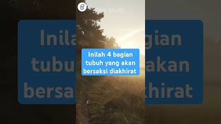 Inilah 4 bagian tubuh yang akan bersaksi diakhirat feedshorts islamicmessage [upl. by Hindu]