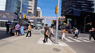 Eglinton Crosstown Walk  Cedarvale to YongeEglinton Toronto Summer 2024 [upl. by Yelena]