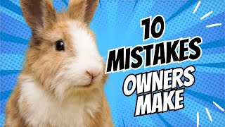 10 Common Mistakes Rabbit Owners Make [upl. by Yurt902]