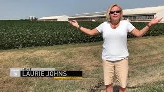 How Iowa Farmers Responsibly Manage Pig Manure [upl. by Normand]